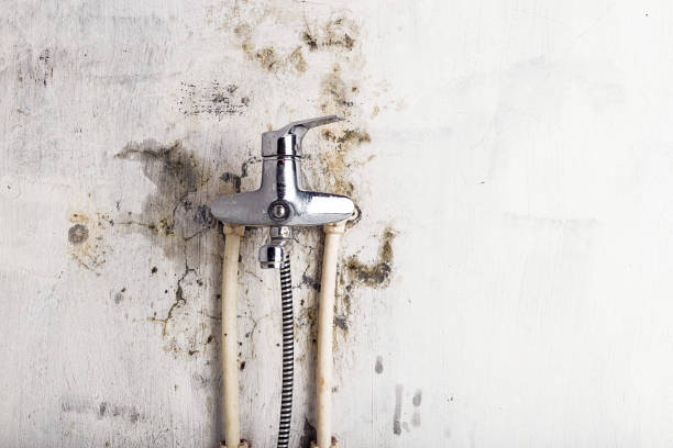 Best Mold Removal Near Me  in Lawrence, MA