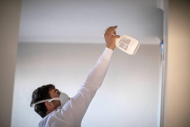 Best Commercial Mold Removal  in Lawrence, MA