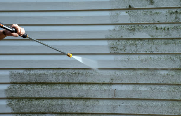 Best Attic Mold Removal  in Lawrence, MA