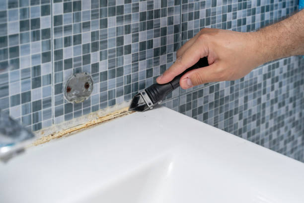 Best Mold Remediation  in Lawrence, MA