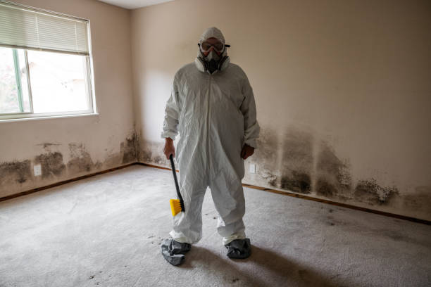 Best Office Mold Removal Services  in Lawrence, MA